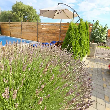 With Swimming Pool Kakma, Biograd - 25483 Apartamento *